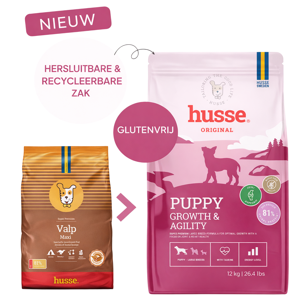 Husse Puppy Growth & Agility