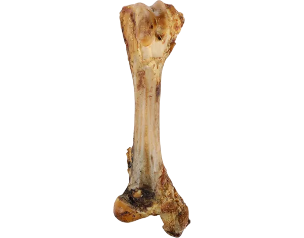 Flamingo Nature Snack Vlezig Tibia Been (Jumbo Been - 800gr). NIEUW!