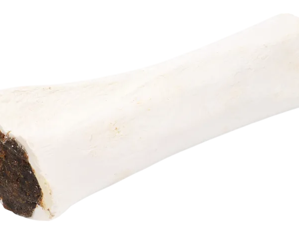 Flamingo Snack Nature Buffelcalciumbeen met Pens (15cm-324gr). NIEUW!