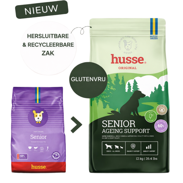 Husse Senior Ageing Support