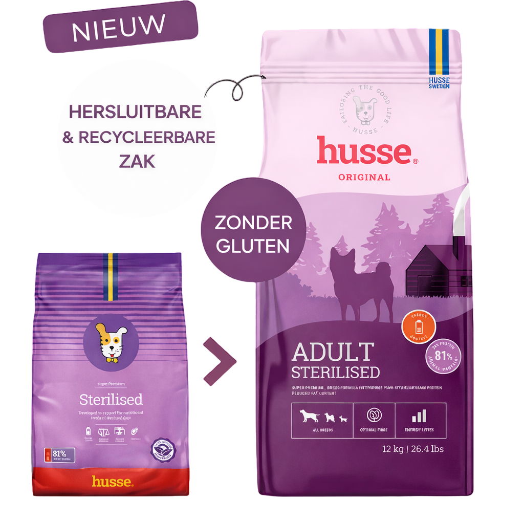 Husse Adult Sterilised