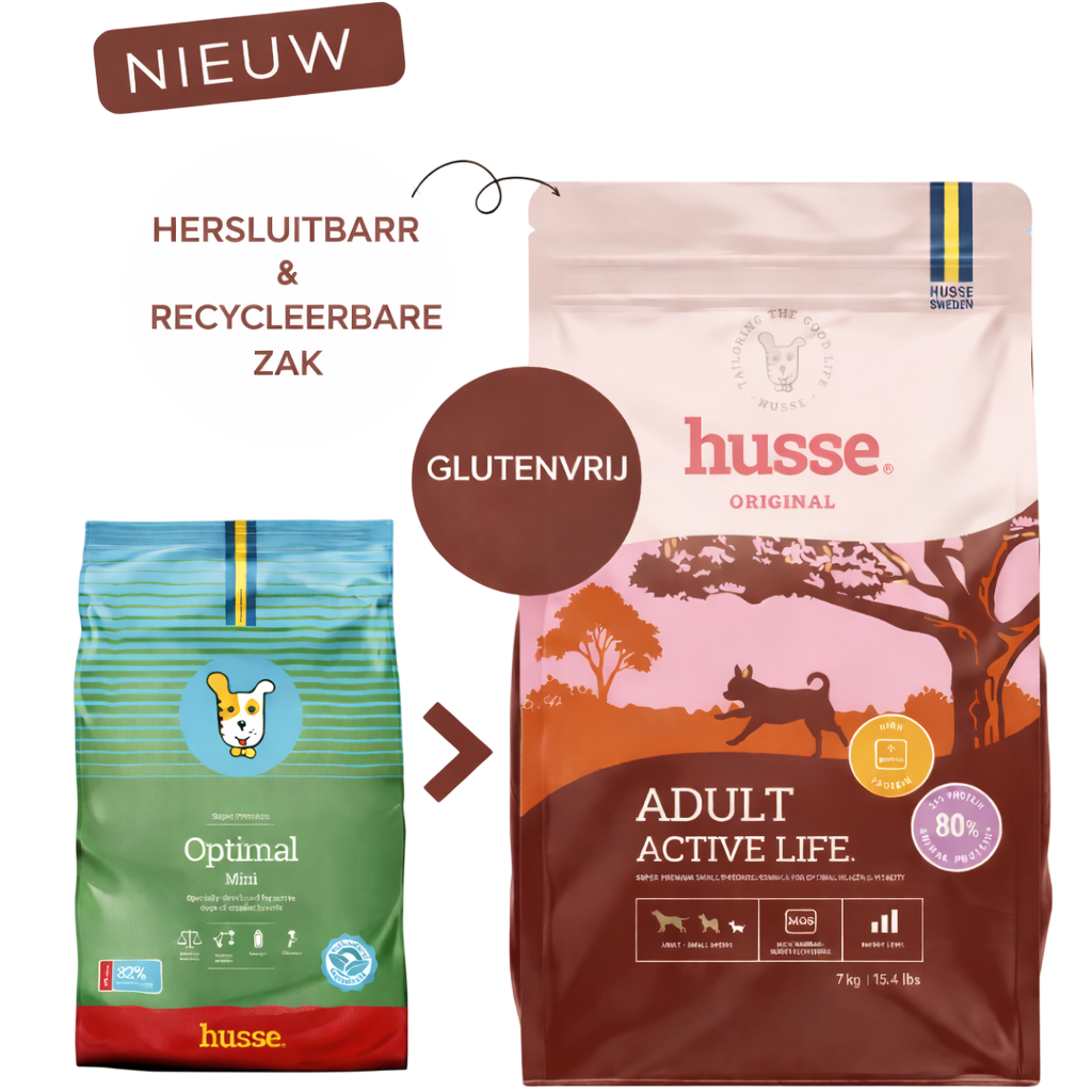 Husse Adult Active Life